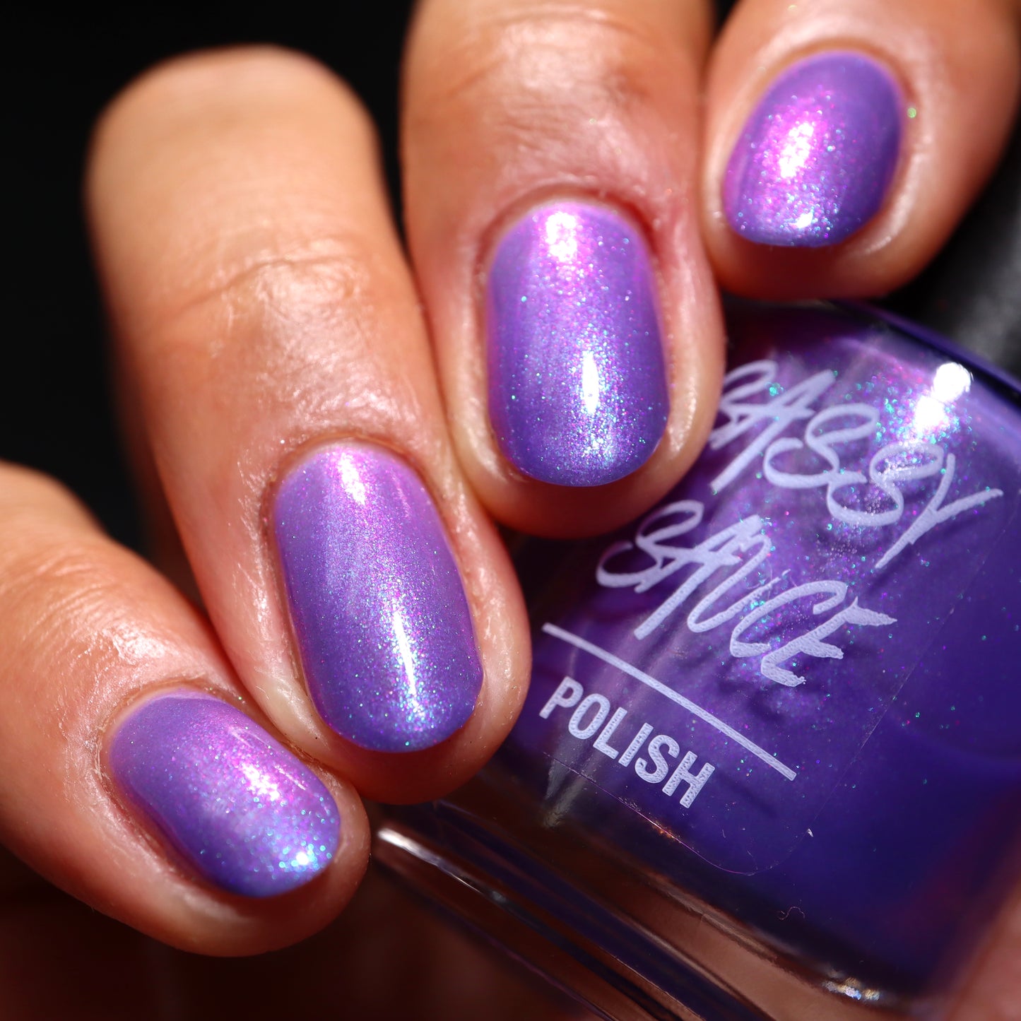 Buckle up Bitchlings