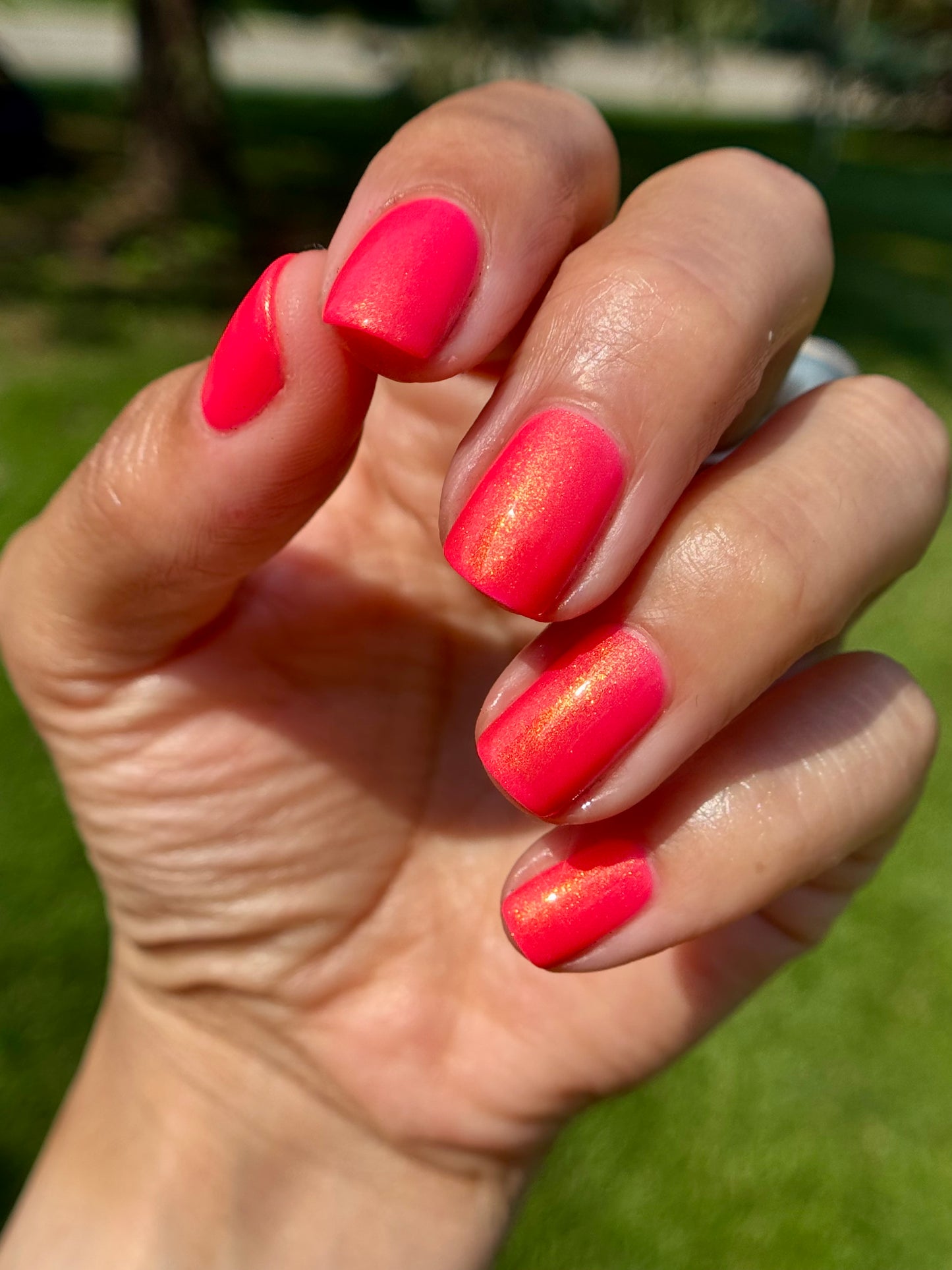 Watermelon sugar, Hi