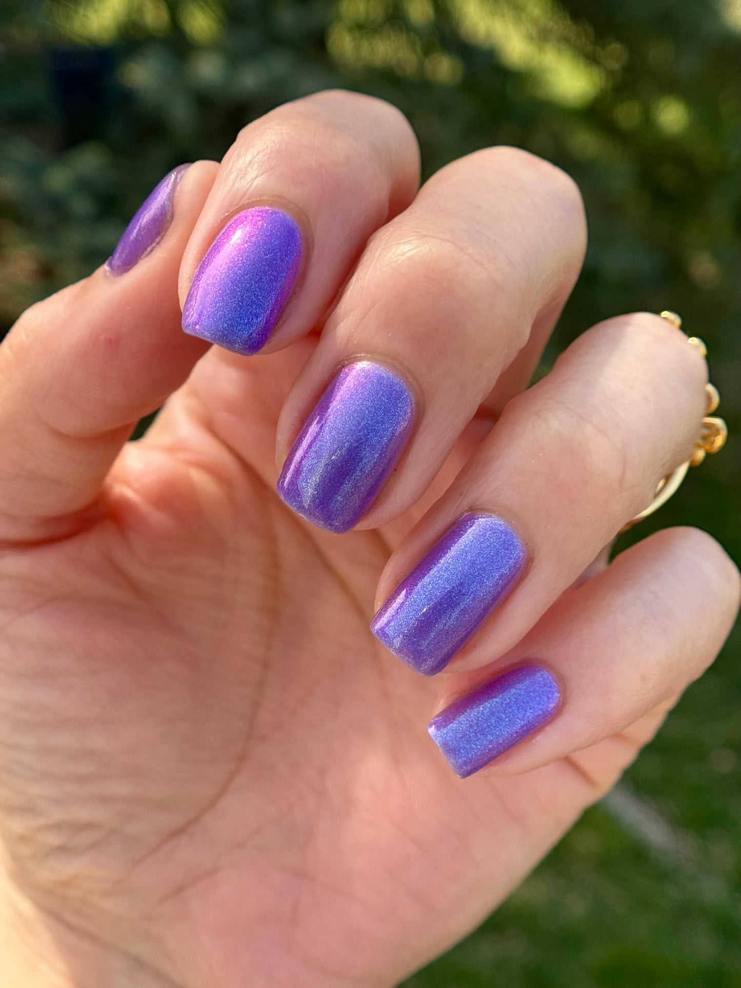 Buckle up Bitchlings