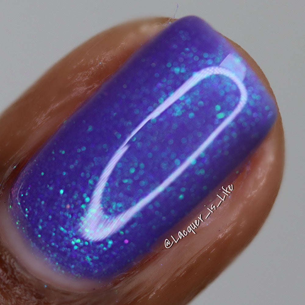 Buckle up Bitchlings