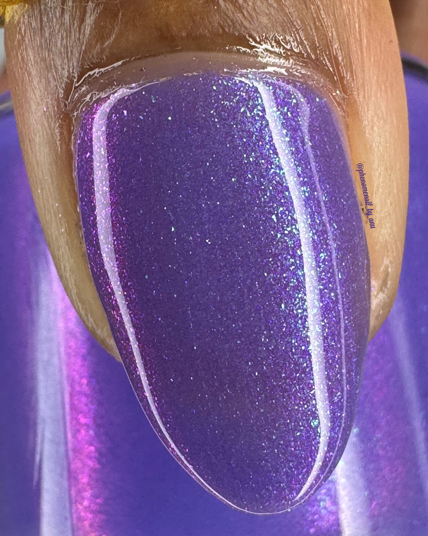 Buckle up Bitchlings