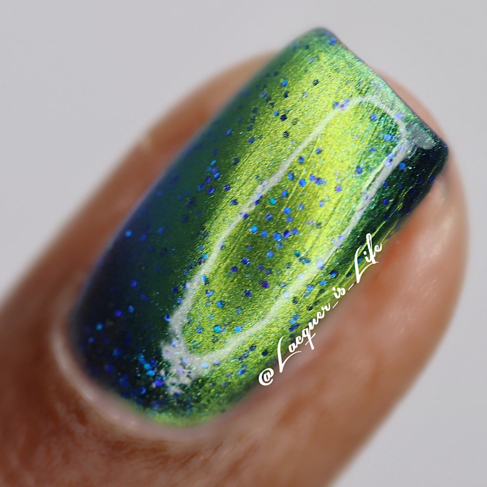 Magnetic Mayhem